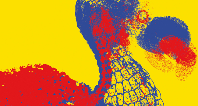 Image projet Sur les traces