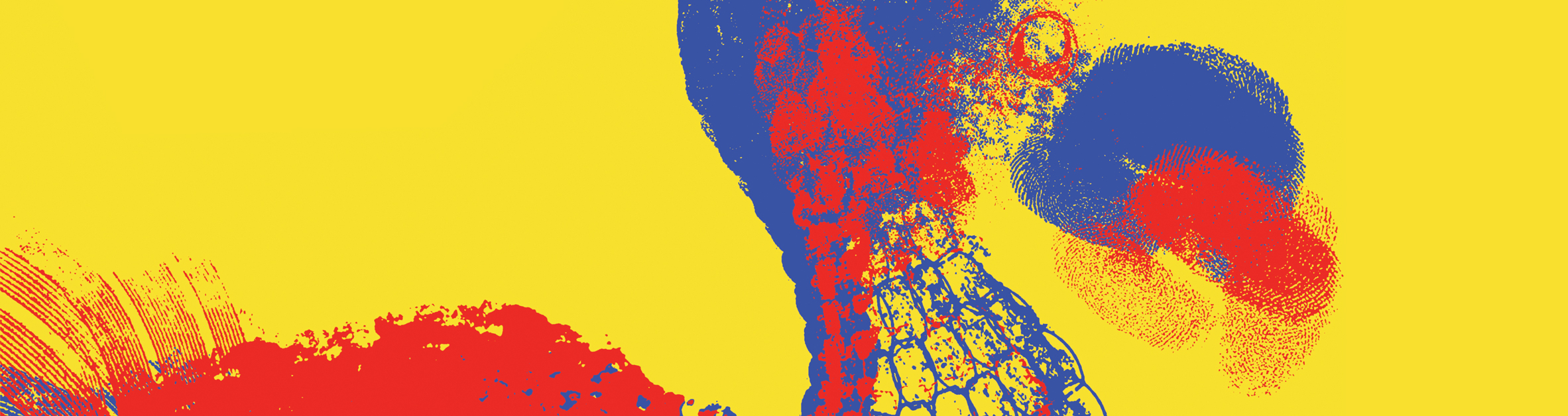 Image de couverture du projet Sur les traces