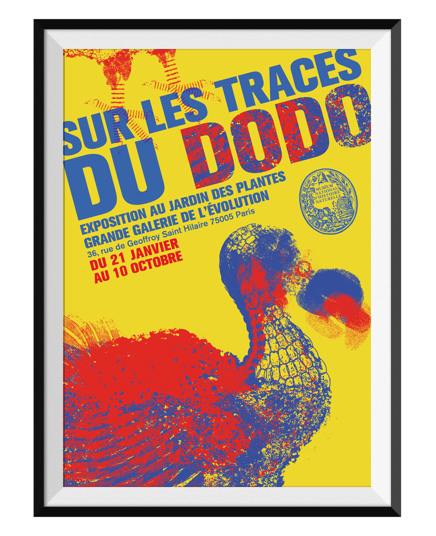 Image du projet Sur les traces